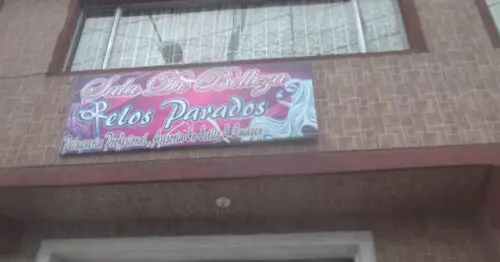 SALA DE BELLEZA PELOS PARADOS SALA DE BELLEZA PELOS PARADOS